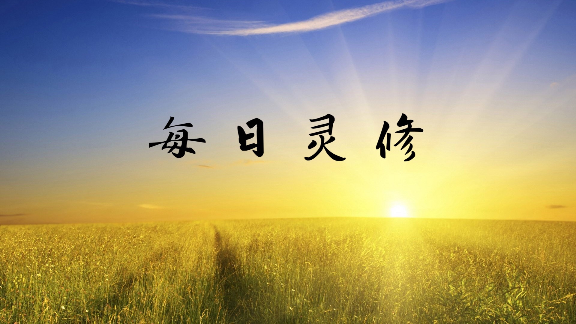 每日灵修 诗篇2:4-6