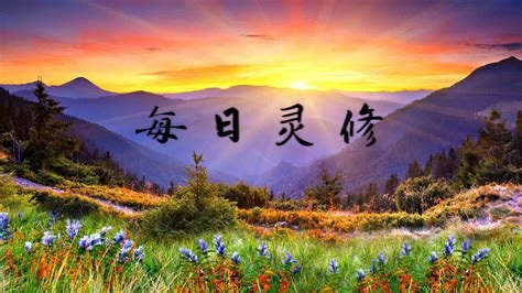 每日灵修 诗篇1:4-6